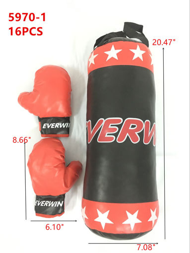 Picture of Red & Black Medium Punching Bag & Boxing Gloves 16 pc