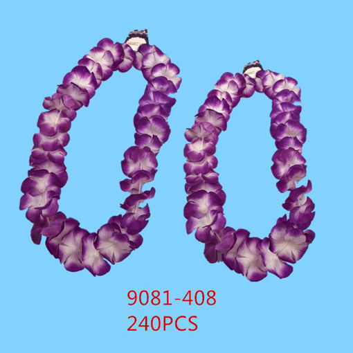 Picture of Purple Lace 20 dz