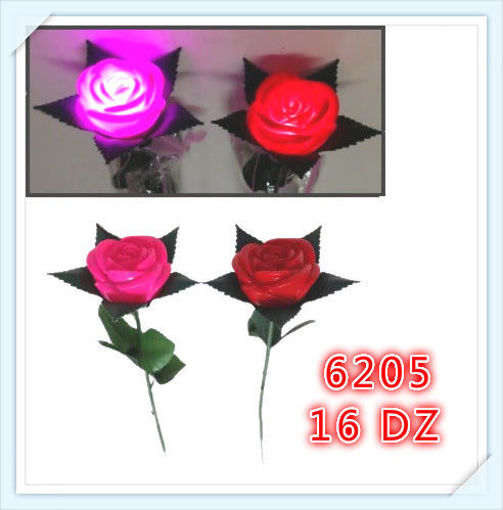 Picture of Red & Pink Flashing Rose 16 dz